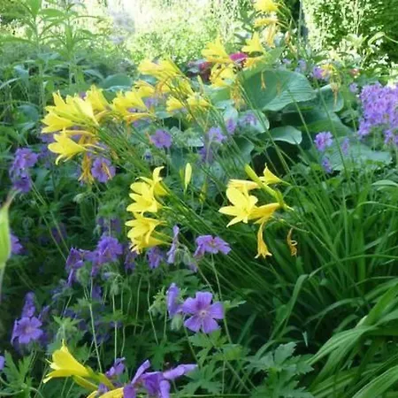 Holiday home Buschle By Interhome Tettnang