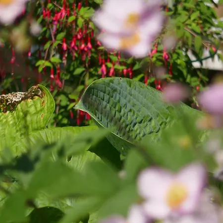 Holiday home Buschle By Interhome