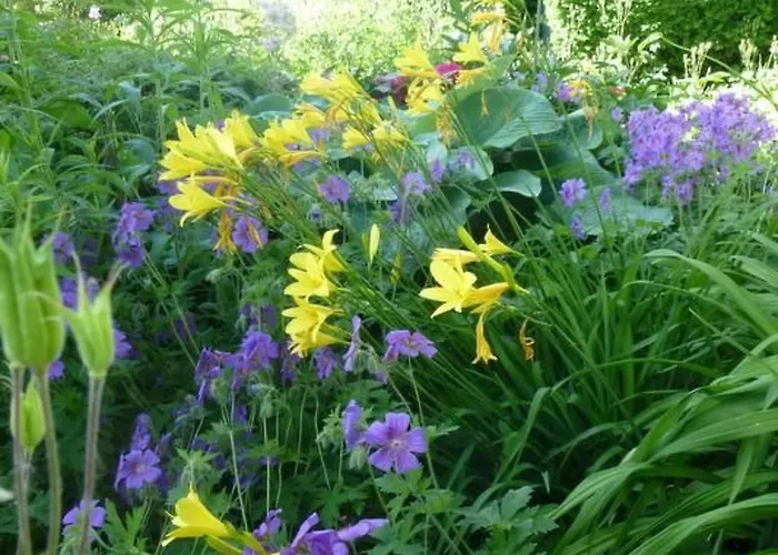 別荘 Buschle By Interhome テットナング