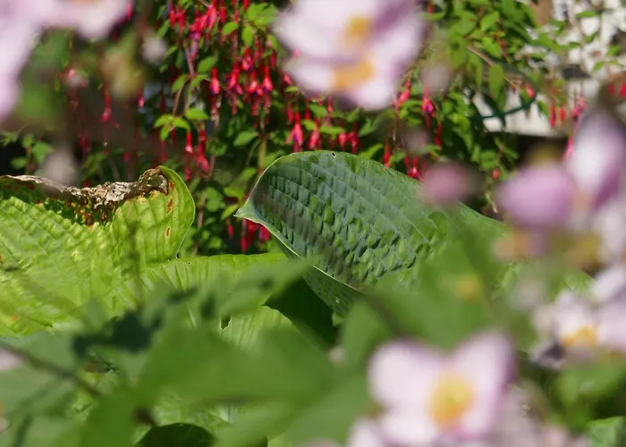 度假居 Buschle By Interhome